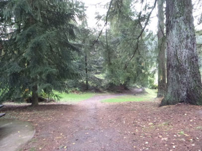 Fir Trail by the covered picnic area - trail has slight slope
